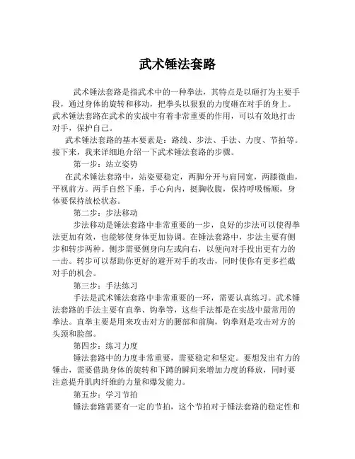 武术锤法套路