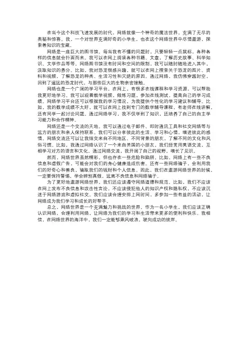 我遨游的网络世界