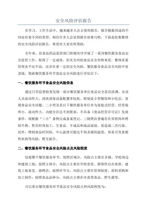 安全风险评估报告