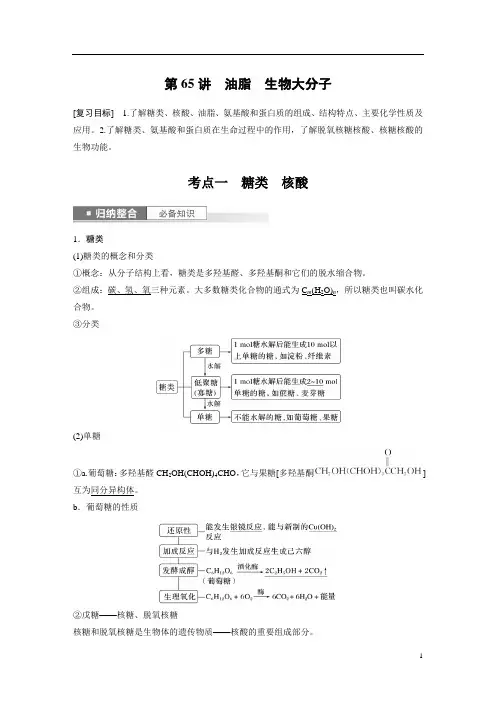 2024年高考化学一轮复习(新高考版) 第10章 第65讲 油脂 生物大分子