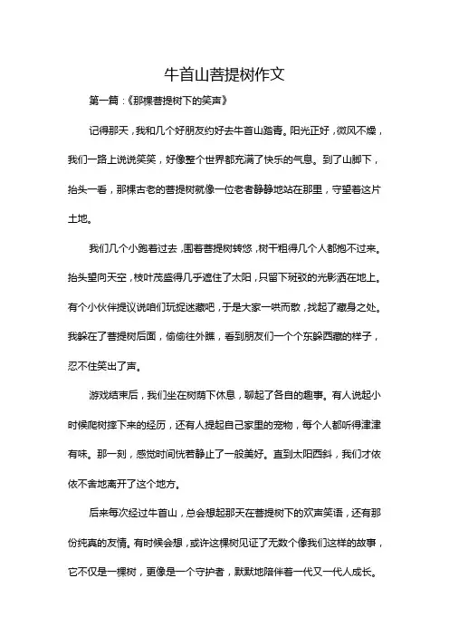 牛首山菩提树作文