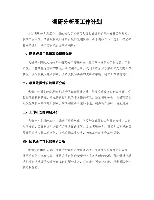 调研分析周工作计划