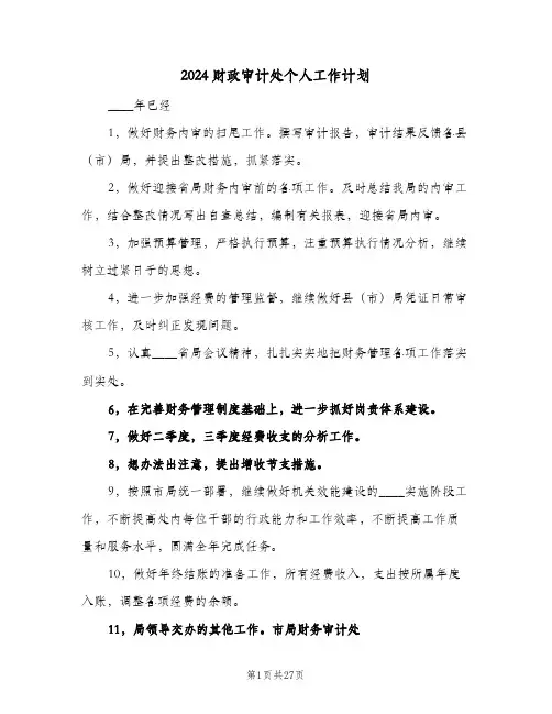 2024财政审计处个人工作计划(5篇)