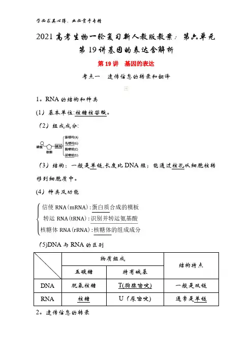 2021高考生物一轮复习教案：第六单元第19讲基因的表达含解析