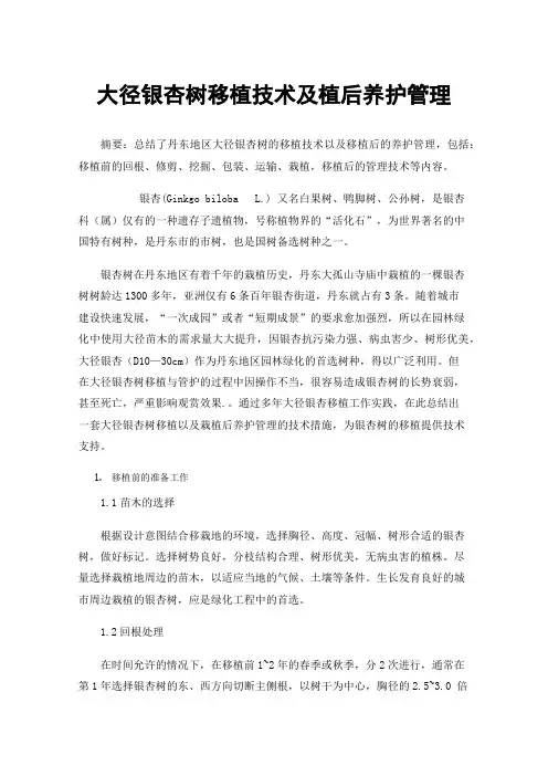 大径银杏树移植技术及植后养护管理