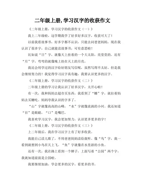 二年级上册,学习汉字的收获作文