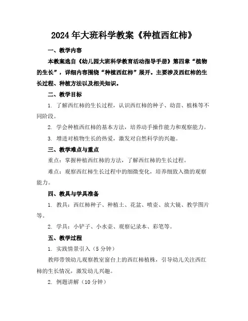 2024年大班科学教案《种植西红柿》
