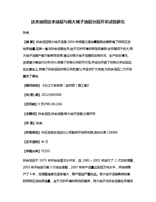 扶余油田扶余油层与杨大城子油层分层开采试验研究