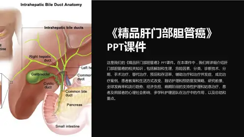 《肝门部胆管癌》课件