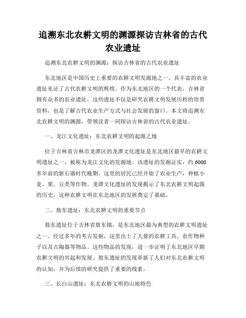 追溯东北农耕文明的渊源探访吉林省的古代农业遗址