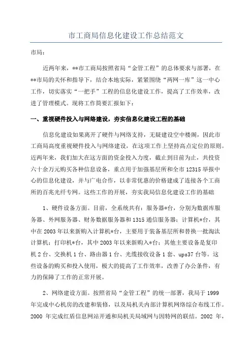 市工商局信息化建设工作总结范文