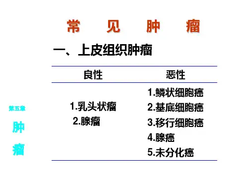 最新病理重点大纲.ppt-PPT文档