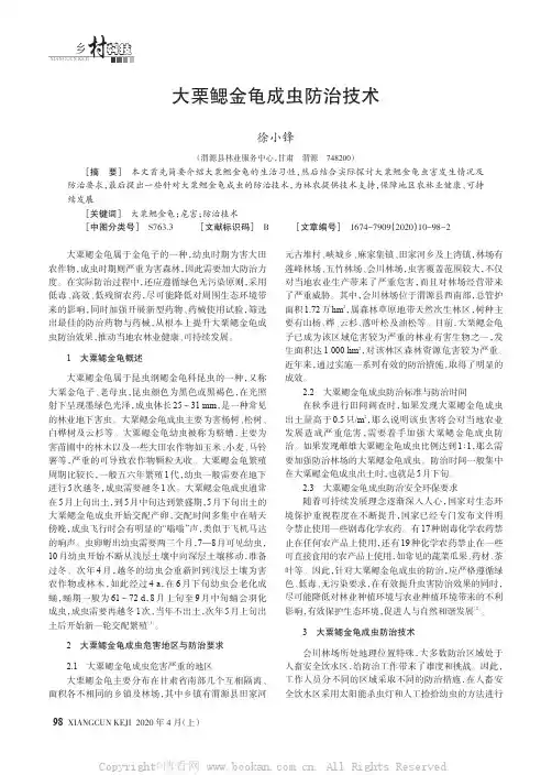 大栗鳃金龟成虫防治技术