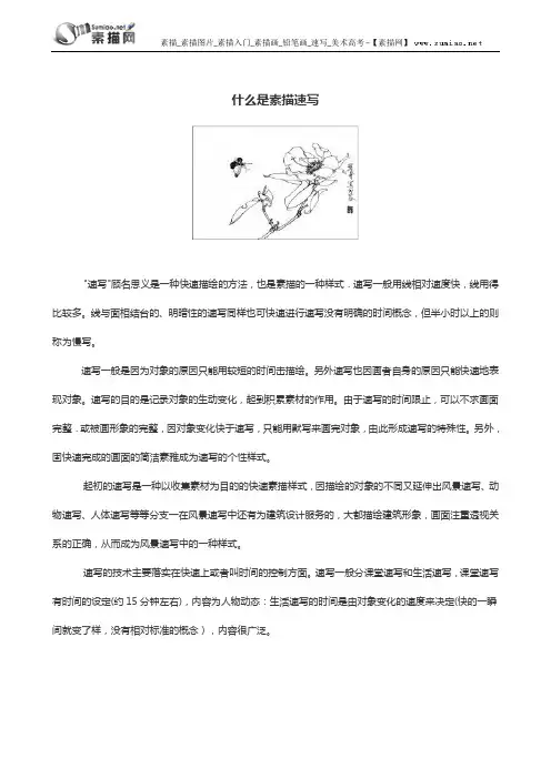 什么是素描速写？
