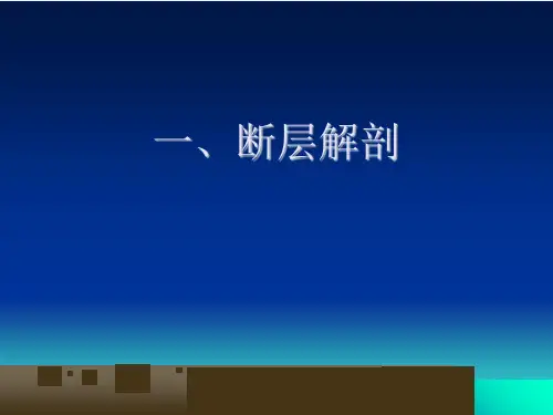 颅脑解剖及颅脑外伤性疾病CT诊断课件.ppt