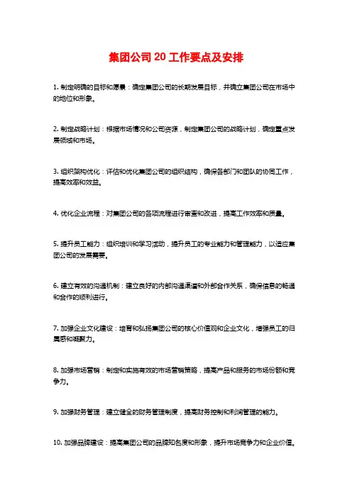 集团公司20工作要点及安排