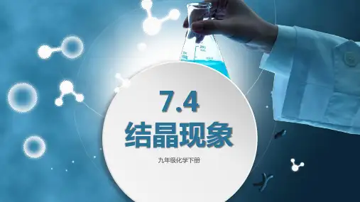 《结晶现象》溶液PPT精品课件