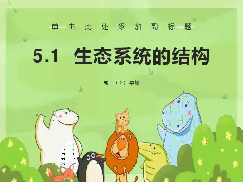 生态系统的结构PPT课件