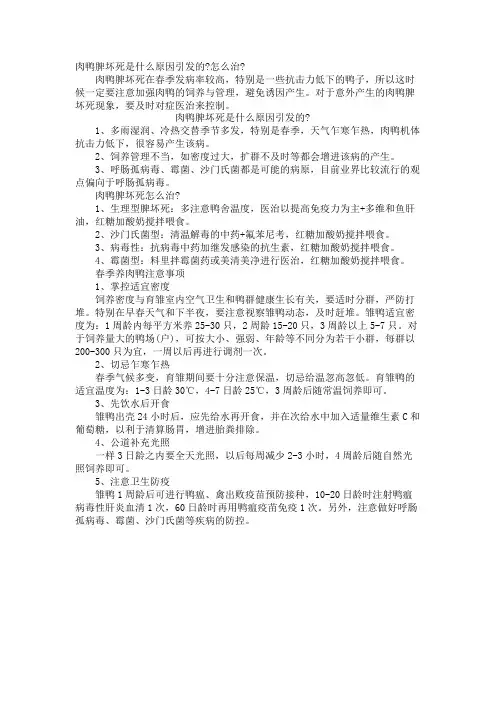 肉鸭脾坏死是什么原因引起的-怎么治-