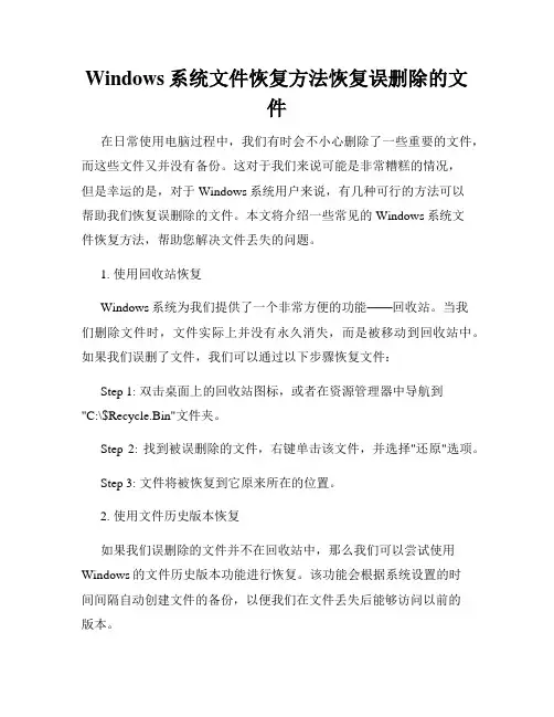 Windows系统文件恢复方法恢复误删除的文件