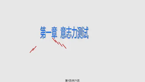 素质测评案例量表PPT课件
