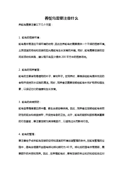 养鸵鸟需要注意什么