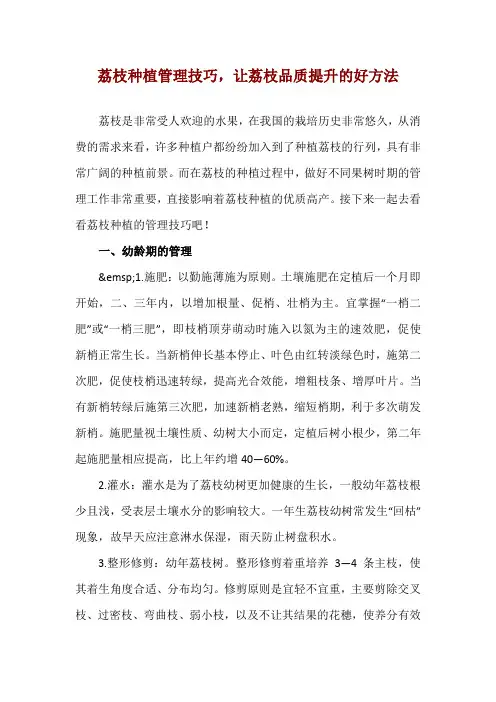 荔枝种植管理技巧,让荔枝品质提升的好方法