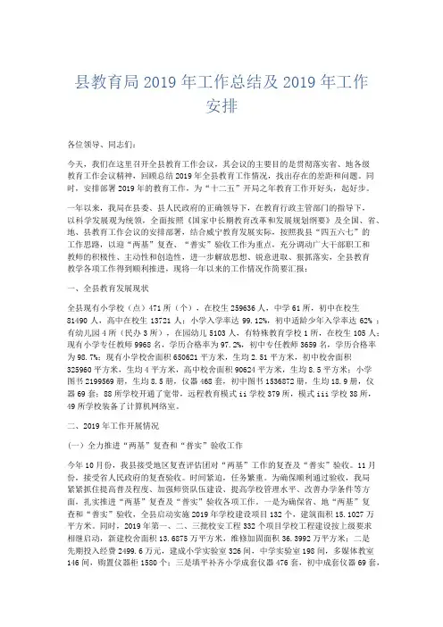 工作总结-县教育局2019年工作总结及2019年工作安排 精品