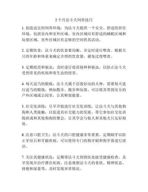2个月法斗犬饲养技巧