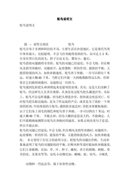 鸵鸟说明文——精选推荐