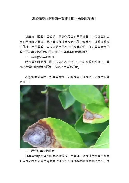 浅谈枯草芽孢杆菌在农业上的正确使用方法！