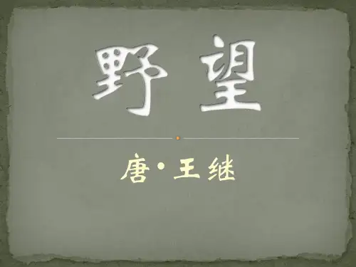 第13课《唐诗五首野望》课件(共22张PPT)语文八年级上册