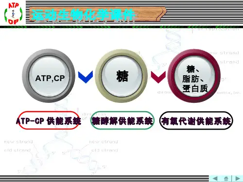运动生物化学(10.1.1)--磷酸原系统供能能力的评定4