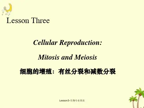 Lesson3-生物专业英语