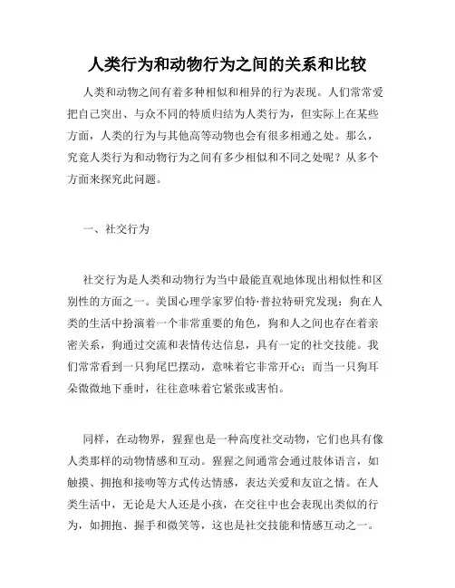 人类行为和动物行为之间的关系和比较