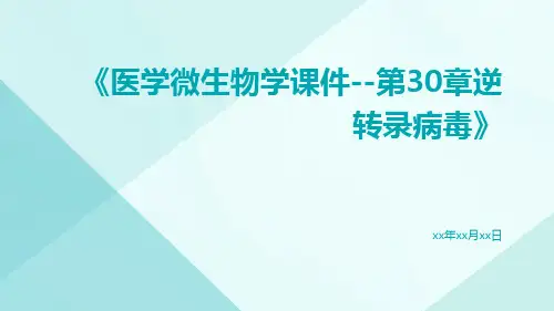 医学微生物学课件--第30章逆转录病毒