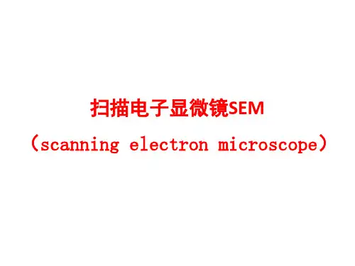 SEM扫描电子显微镜