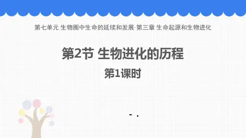 《生物进化的历程》PPT优质课件(第1课时)