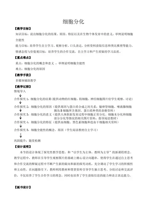 高中生物必修一教案-5.2.1细胞分化2-苏教版