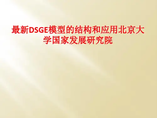 最新DSGE模型的结构和应用北京大学国家发展研究院
