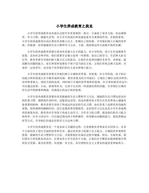 小学生养成教育之我见