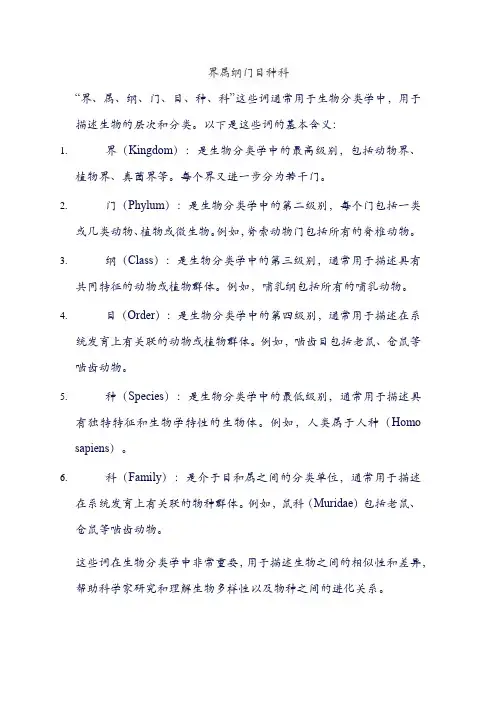 界属纲门目种科