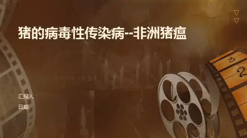 猪的病毒性传染病--非洲猪瘟