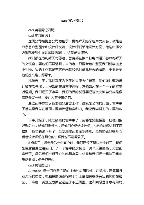 cad实习周记