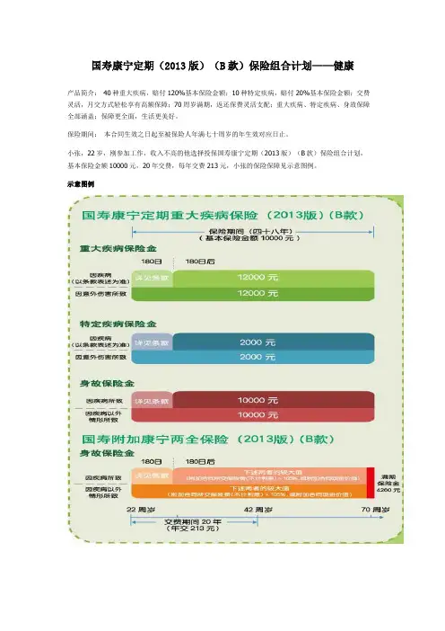国寿康宁定期(2013版)(B款)保险组合计划——健康
