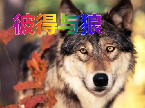 《彼得与狼》PPT课件2 (共12张PPT)