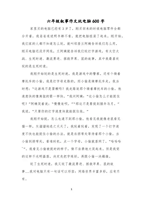 六年级叙事作文玩电脑600字