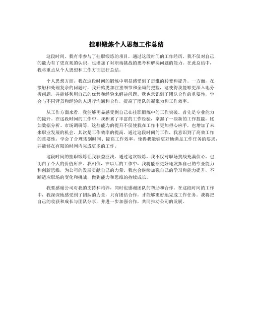 挂职锻炼个人思想工作总结