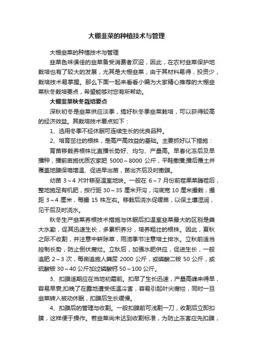 大棚韭菜的种植技术与管理