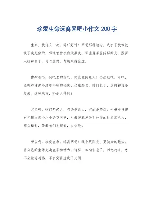 珍爱生命远离网吧小作文200字